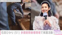 石田ひかり、“ダックスフンド50匹”多頭飼育崩壊の現場で保護活動「みんな頑張ったね！これからいいこといっぱいあるよ！お外もいっぱい行けるからね！」