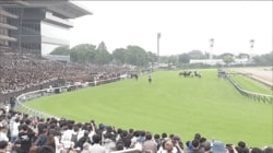 「衣装可愛い」「お姉さんたち演奏丁寧」安田記念恒例の“特別なファンファーレ”をファン絶賛「やっぱ上手い」