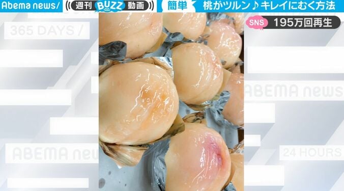 目からウロコのテクニック！ 桃をツルンと「綺麗にむく方法」 老舗洋菓子店が教える職人技に大反響 1枚目