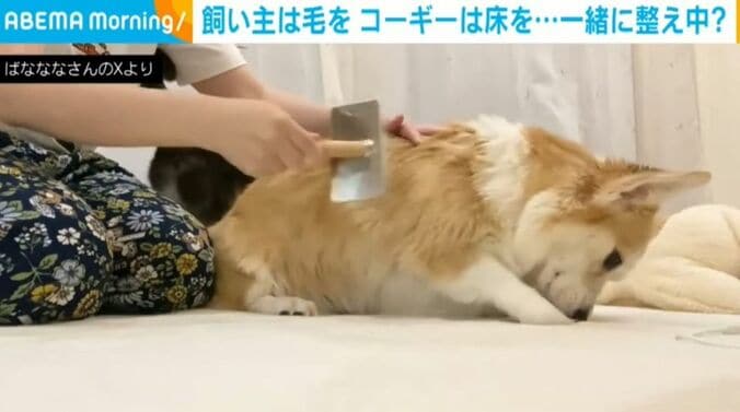 ばなななさんのXから