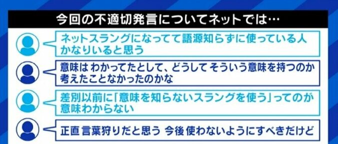 意味を知らずに言葉を使った場合も処分を受けるべきなのか? 人気VTuberローレン・イロアスさんの活動休止から考える 7枚目