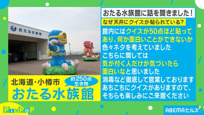 水族館の天井に「なぜクイズ？」深すぎる解説に反響 担当者「気がつく人だけが気づいて」 2枚目