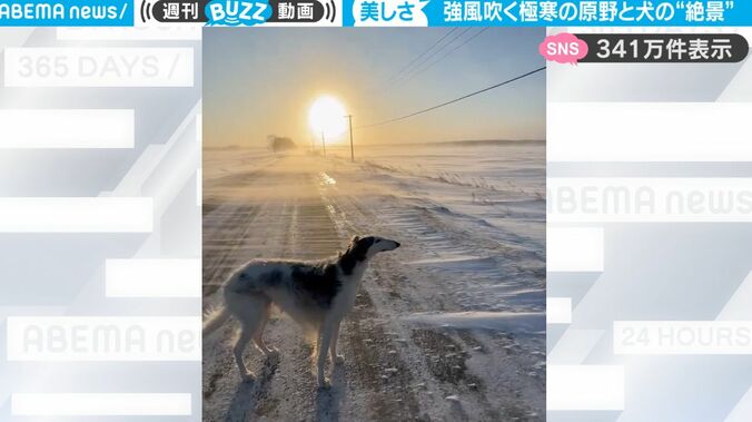 【写真・画像】寒すぎてブランケットを羽織りながら階段をノソノソと下りる猫がかわいすぎる！行き先はストーブの前！「人間みたい」と反響　1枚目