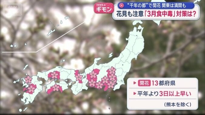 熊本以外は平年より3日以上早い開花