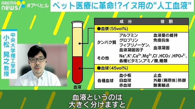 救世主は「ブタの血液」ペット医療に革命か！？ 輸血できずに命を落としていた犬や猫を救える可能性 2枚目