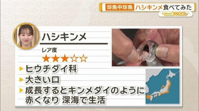 ハシキンメとは