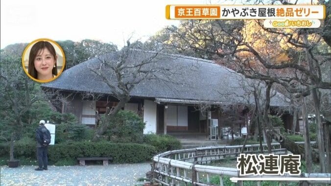 昔懐かしい茅葺き屋根の「松連庵」