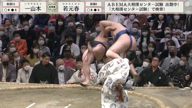 際どい勝負に館内騒然も「行司よく見てた！」称賛の声　白熱の取組に物言いも低姿勢でしっかり確認 1枚目