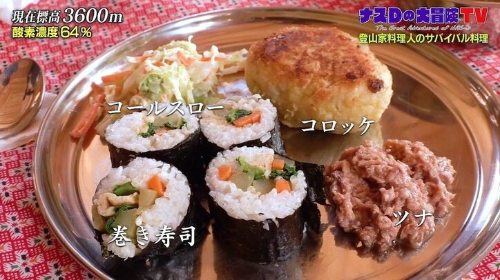 ナスD「下山も視野に考えましょう」富士山と同じ標高にスタッフがダウン？