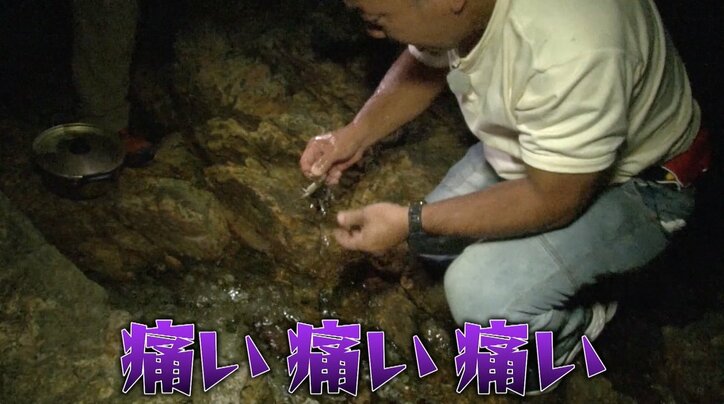 【写真・画像】【ナスD】コピーして使ってください　2枚目