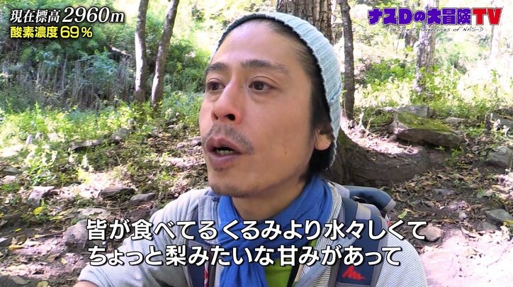 “クルミ”は梨のような甘味？ ナスDが見た美しすぎるヒマラヤの紅葉