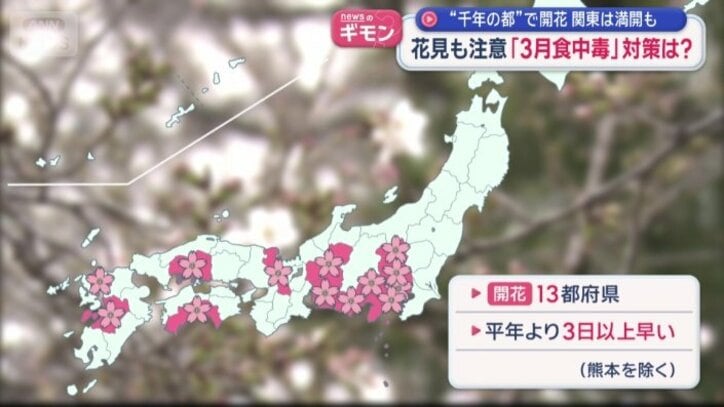 熊本以外は平年より3日以上早い開花