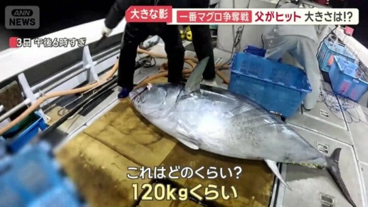 船にあがったマグロ