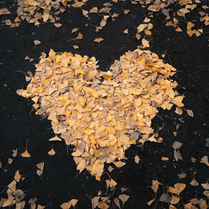 【写真・画像】　1枚目