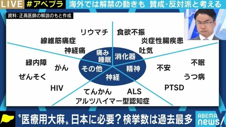 所持での検挙数が過去最多…日本でも「医療用大麻」を認めるべきなのか?賛成派・反対派の意見は