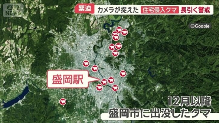 12月になってもクマの出没が相次ぐ