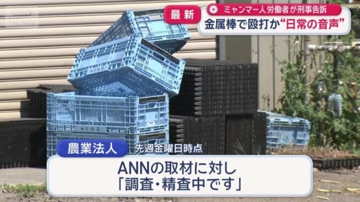 農業法人は