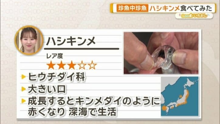 ハシキンメとは