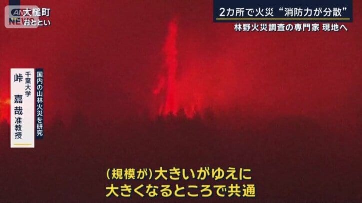 千葉大学　峠嘉哉准教授