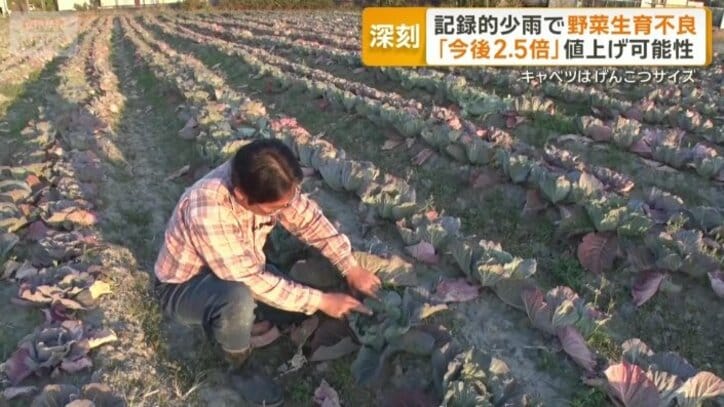 三和農園の河村亮代表