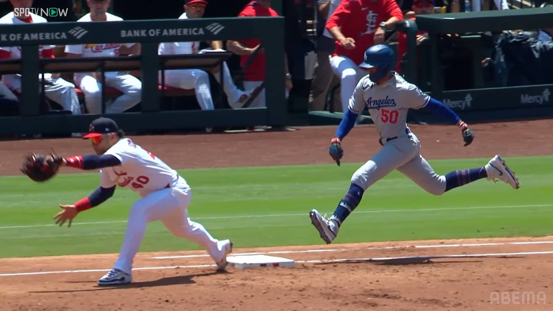 【写真・画像】　2枚目