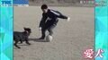 子供の頃の練習相手はなんと愛犬!いまだに進化し続ける天才ドリブラー・原口元気