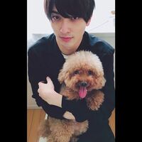 「イケメンすぎ」「なにこれ最高」横浜流星、愛犬を抱っこしたキュートな2ショットにファン悶絶