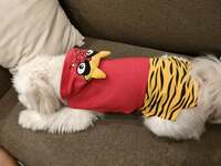 安田さち『追い払いたい鬼は？？』