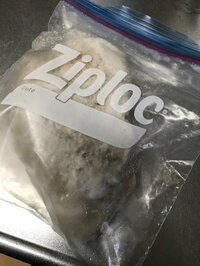 相田翔子『冷凍庫で見つかった化石』