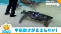 飼育員に起こった“癒やされハプニング”