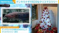 デンキウナギで"エコ"なXマスツリー