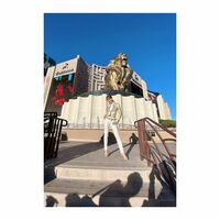 神田うの『私は今ラスベガスに来ております✈️』