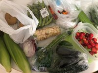 平野ノラ『飛脚』