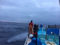 小倉優子『☆鰹の一本釣り☆』