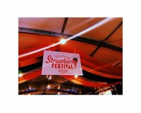 工藤遥『strawberry』