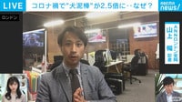【報告】コロナ禍で“犬泥棒”が急増、なぜ？