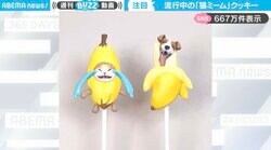 再現度高すぎ！クッキーが“猫ミーム”に変身！驚きの制作過程に「途中から猫ミーム動画になっていた笑」「食べられへんやん」と話題沸騰