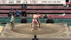 「隣にいたら最悪」大相撲、客席で繰り返される“異様な声援”に批判が相次ぐ「早くも酔っ払い？」憤りの声