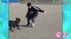 子供の頃の練習相手はなんと愛犬！いまだに進化し続ける天才ドリブラー・原口元気