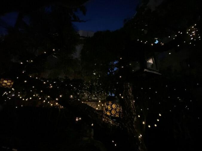  川崎麻世、LEDでライトアップした自宅の庭を公開「テンション上がるよね」  1枚目