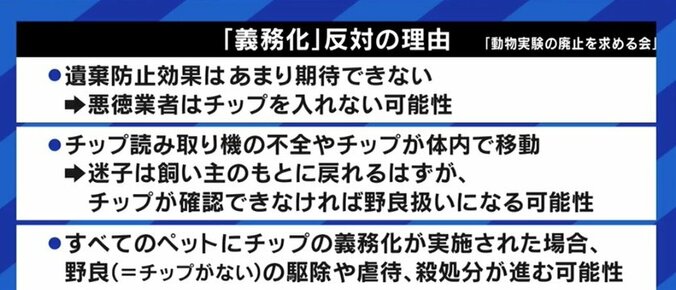 犬猫の殺処分、マイクロチップの埋め込み義務化だけでは抑制できない?背景にある“ペットショップ問題”とは 3枚目