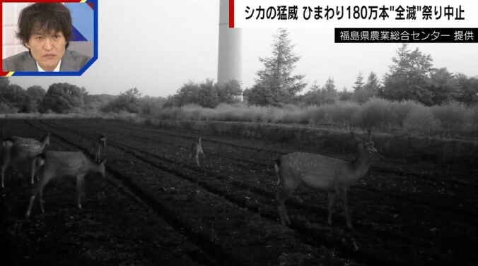 提供：福島県農業総合センター