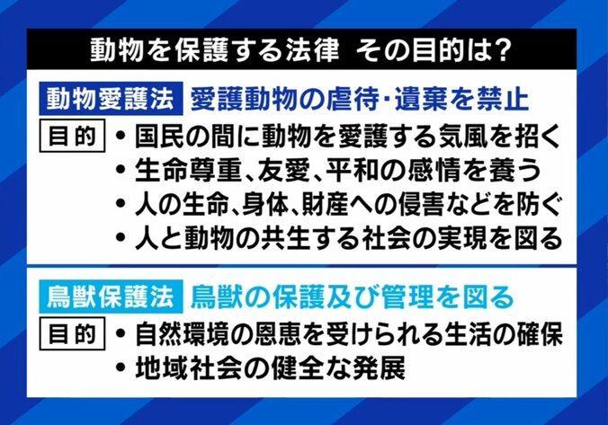 動物愛護法の目的とは