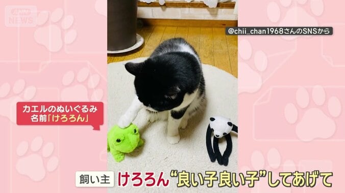 飼い主「けろろん良い子良い子してあげて」