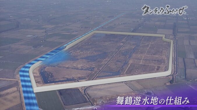 町民からも笑われた運動に起きた“奇跡” 農家の取り組みが、絶滅危惧種のタンチョウを呼び戻した 2枚目