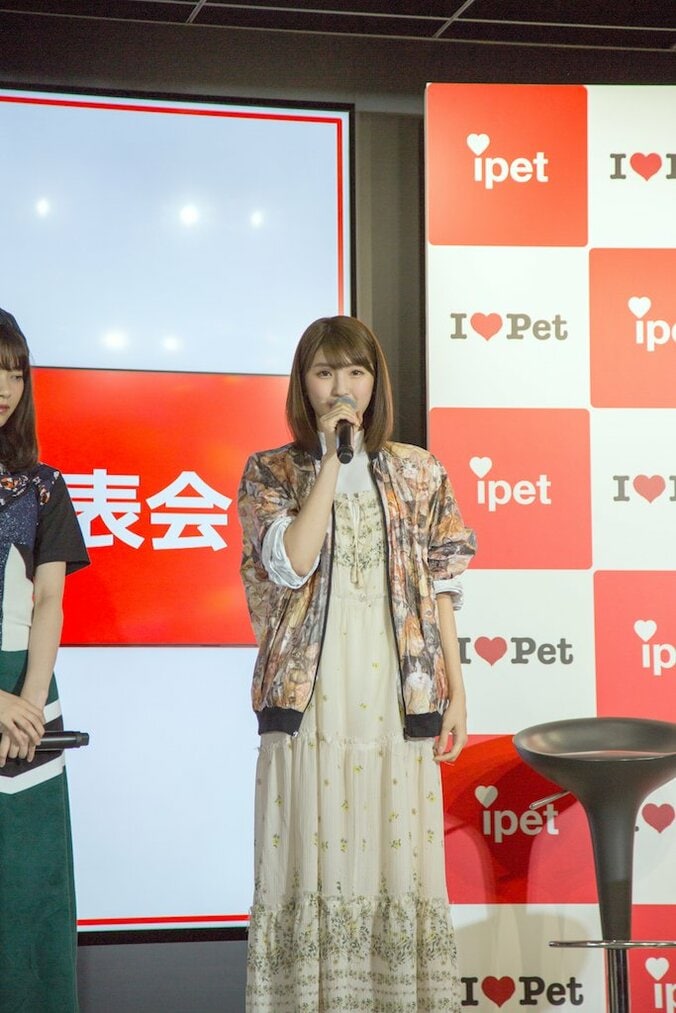 乃木坂46がペット保険CMキャラに就任！ 秋元真夏「白石麻衣のペットに今すぐなりたい」 6枚目