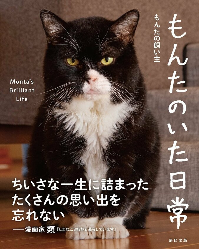 【写真・画像】　1枚目