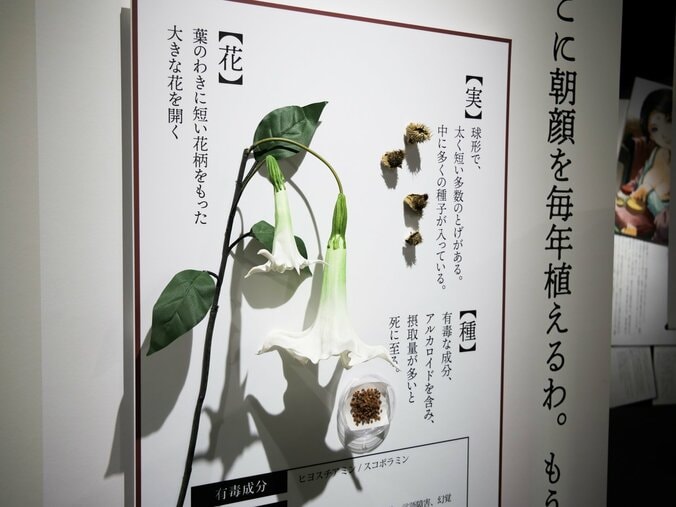 【写真・画像】　8枚目