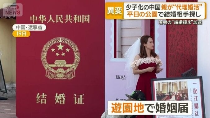 遊園地で婚姻届