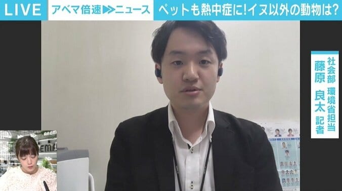 ペットも熱中症になる…重要なのは飼い主の意識 「ペットについて知って、常日頃から健康管理を」 4枚目